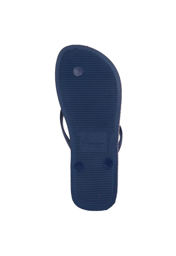 Ipanema-Sandália-Ipanema-Fashion-Skin-Azul-7846-0687571-4-zoom